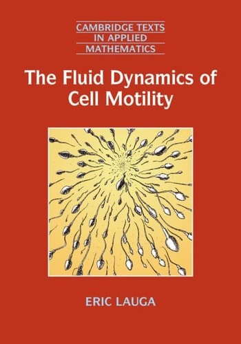 The fluid dynamics - dynamics, of