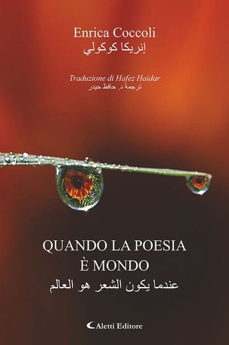 Libri coccoli enrica quando - coccoli,