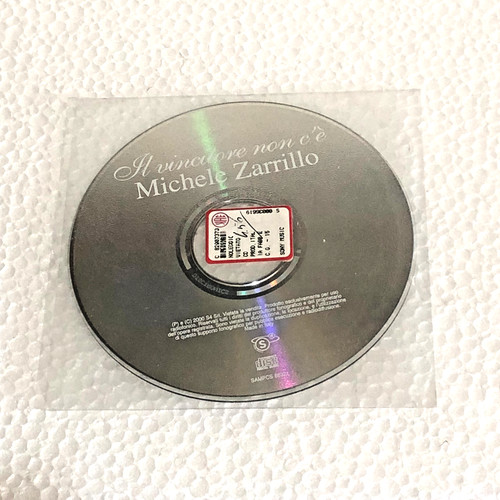 Michele zarrillo vincitore - zarrillo,