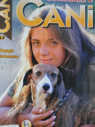 Cinghiale cani 2019 57 - &,