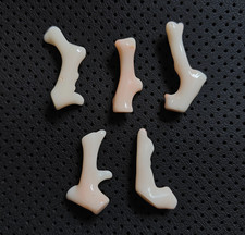 Pietra preziosa ramo di