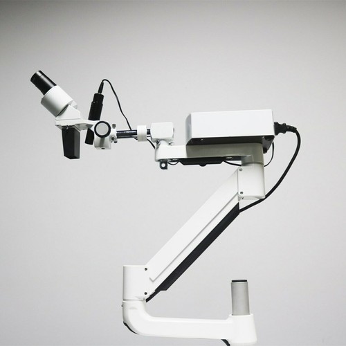 10x microscopio stereo - 10x,