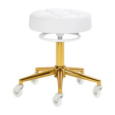 D054G Sgabello Professionale