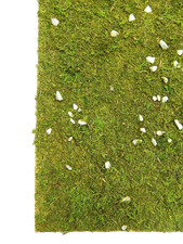 Foglio Carta Prato con Muschio e Pietre Cm 50x70 - Vegetazione per Presepe