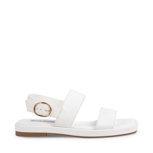 Steve madden sandalo - steve,