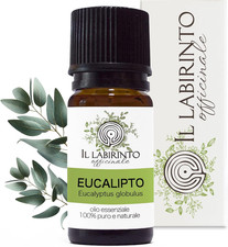 Olio Essenziale Eucalipto Puro