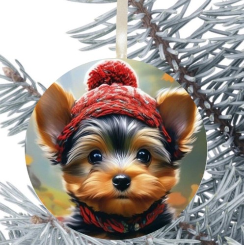 Yorkshire terrier cucciolo - terrier,