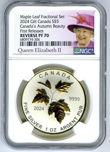 2024 queen elizabeth reign 5 - 2024,