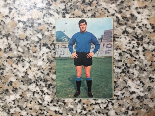 Sironialbum calciatori - sironi(como)album,