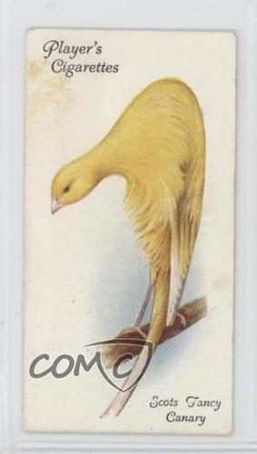 1933 giocatore aviaria - 1933,