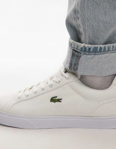 Scarpe ginnastica lacoste - scarpe,