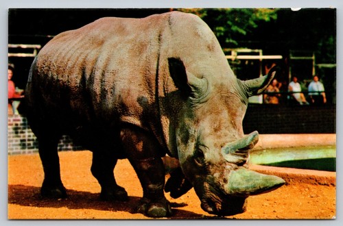 Cartolina vintage zoo - , di