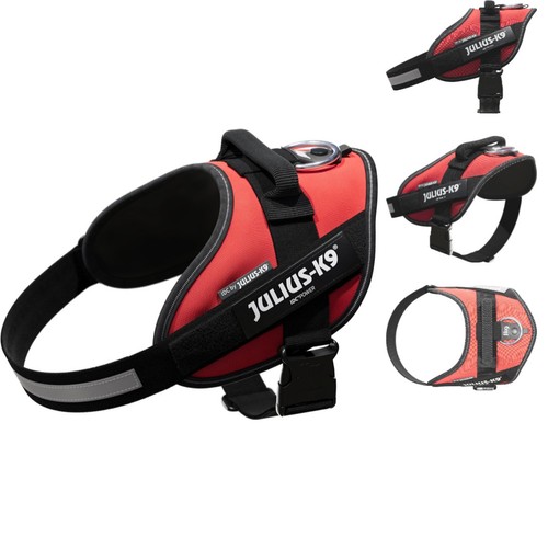 Julius pettorina idc power - pettorina,