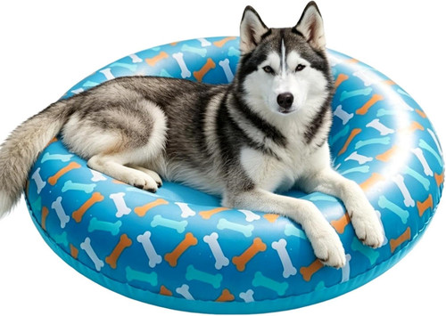 Piscina per cani - cani,