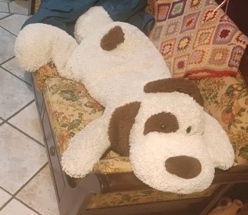 Adorabile peluche gigante cane - peluche,