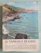 Il vangelo di Gesù.  A cura