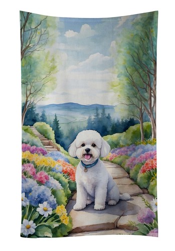 Bichon frise spring path - frise,