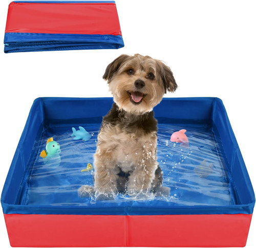 Piscina per gatti - piscina,