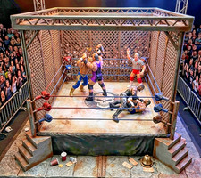 Anello da wrestling WWE