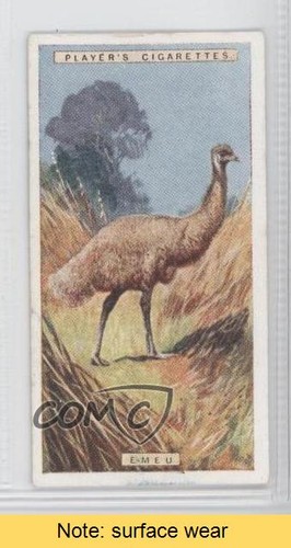 1924 storia naturale - 1924,