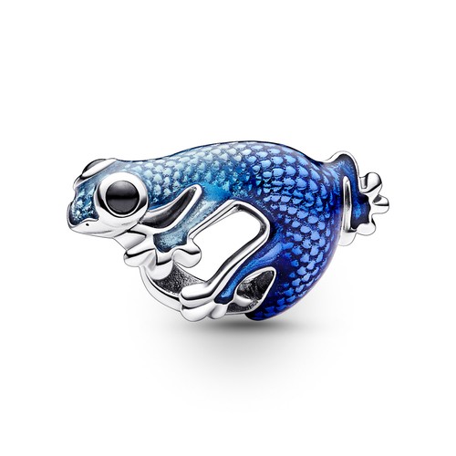 Pandora charm argento - pandora, in