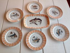 SERVIZIO DI PESCE IN