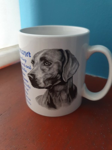 Tazza weimaraner weimaraners - tazza,