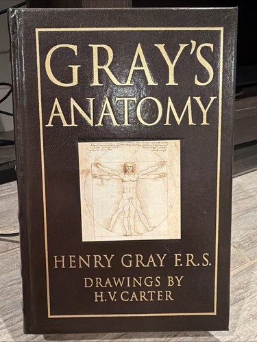 Vintage gray anatomy - vintage, gray's