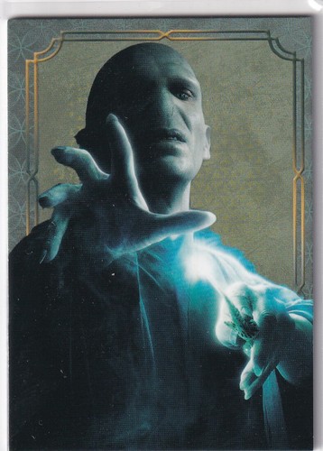 Panini harry potter evolution - panini,