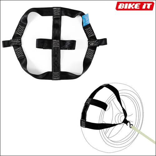 Biketek bike tiedown wheel - tiedown,