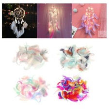 200 pezzi piume colorate - di,