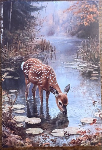 Cartolina fall fawn - fawn, forest