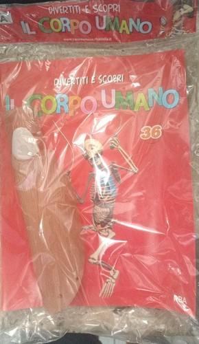 Divertiti scopri corpo - divertiti,