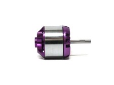 Brushless Marine Motor Purple