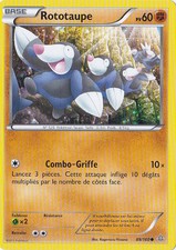 Rototaupe - XY05:Primo Choc -
