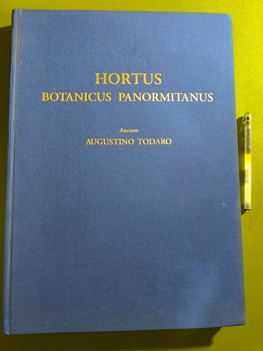 Libro agostino todaro - agostino,