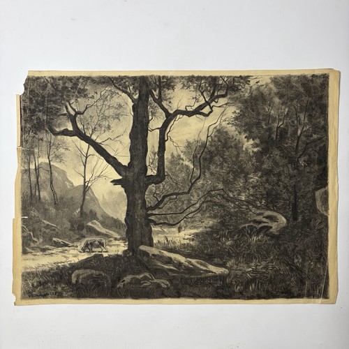 Paesaggio disegno a - paesaggio.,