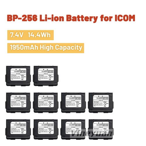 Batteria agli ioni litio - ioni,