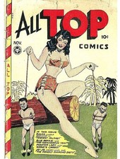 ALL TOP COMICS GOLDEN AGE COLLECTION PDF FORMAT ON CD