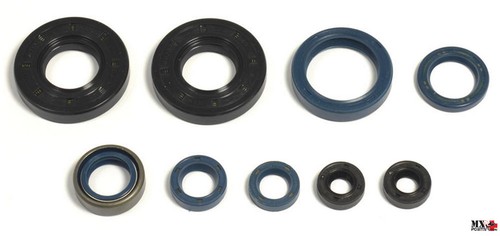 Kit paraoli motore husqvarna - paraoli,