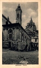 Bergamo - Ateneo con animali vicino tombino f. piccolo non spedita