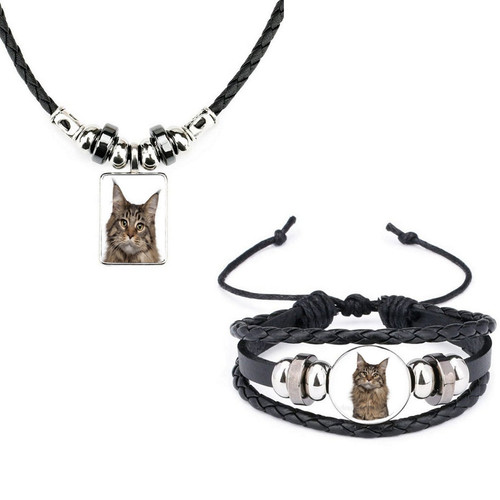 Set maine coon cat pet - set,