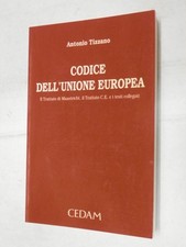 CODICE DELL’UNIONE EUROPEA Il Trattato do Maastricht il Trattato CE A Tizzano di