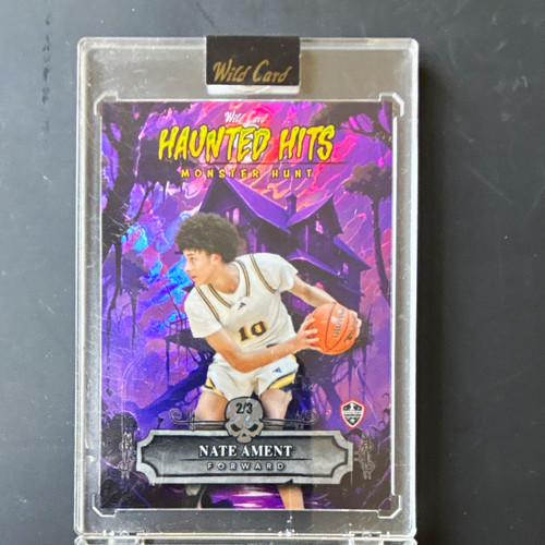 Wild card 2025 haunted hits - wild,