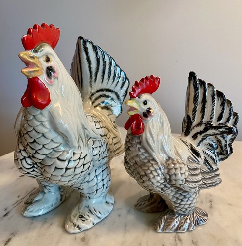 Set galli marans - set,