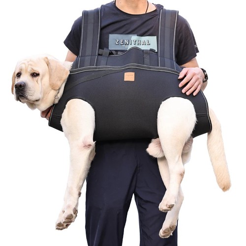 Zaino trasportino per cani - zaino,