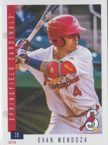 Springfield cardinals 2019 - springfield,