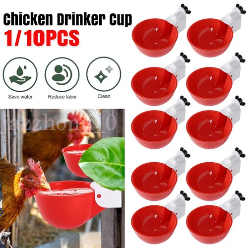 Tazza acqua pollo - , automatica