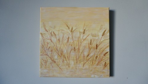 Spighe grano - spighe, di