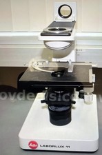 Microscopio binoculare